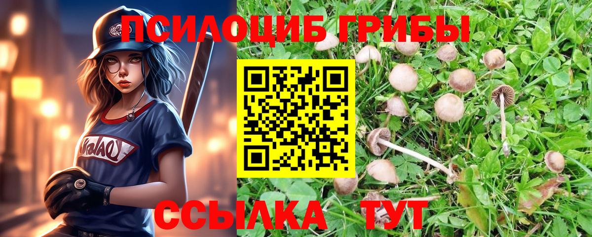 Галлюциногенные грибы мухоморы  Вход с VPN  Новоалтайск  Галлюциногенные грибы ЛСД 