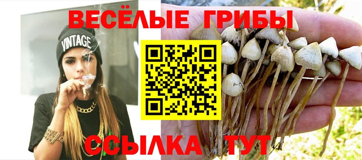 Галлюциногенные грибы GOLDEN TEACHER Новоалтайск